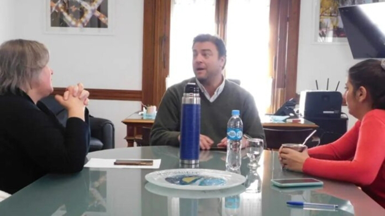 Avances en el proyecto para identificar mascotas con chips