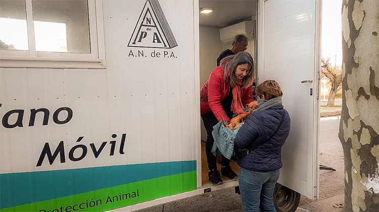 ​Se realizaron castraciones en French