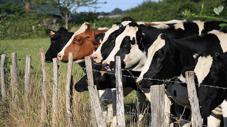 ​&ldquo;Emergencia agropecuaria: financiamiento y otras medidas de acompa&ntilde;amiento&rdquo;