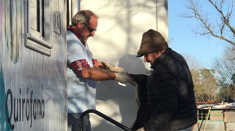 ​Se realizaron castraciones de caninos y felinos en El Provincial