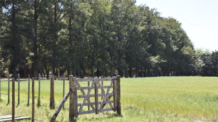 Se lanz&oacute; el &ldquo;Programa de Recuperaci&oacute;n Productiva para Arrendatarios&rdquo;