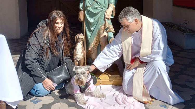 ​​Bendici&oacute;n de las mascotas