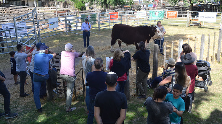Comienza la fiesta del Campo y la Ciudad con la 126&ordm; Expo Rural 