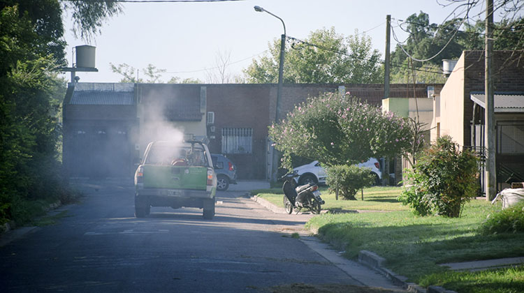 Mosquitos: comenzar&aacute;n las tareas de fumigaci&oacute;n