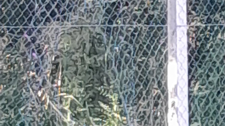 Acto de vandalismo en el Aut&oacute;dromo 