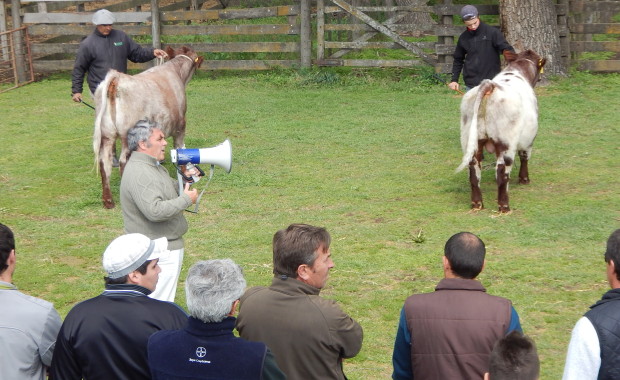 ​M&aacute;s expo, m&aacute;s campo, m&aacute;s Nueve de Julio Rural