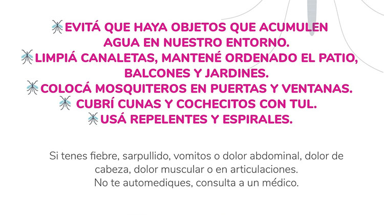 Sin mosquito no hay dengue