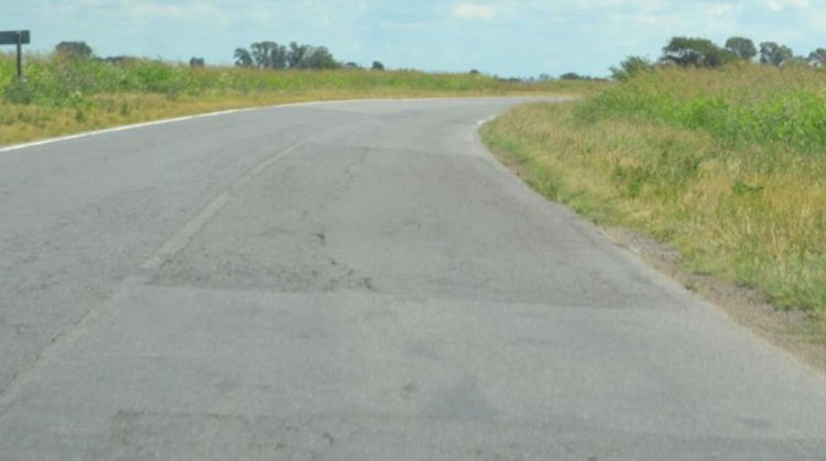 Ruta 65: Piden a provincia que se realicen tareas de desmalezamiento entre Jun&iacute;n y 9 de Julio