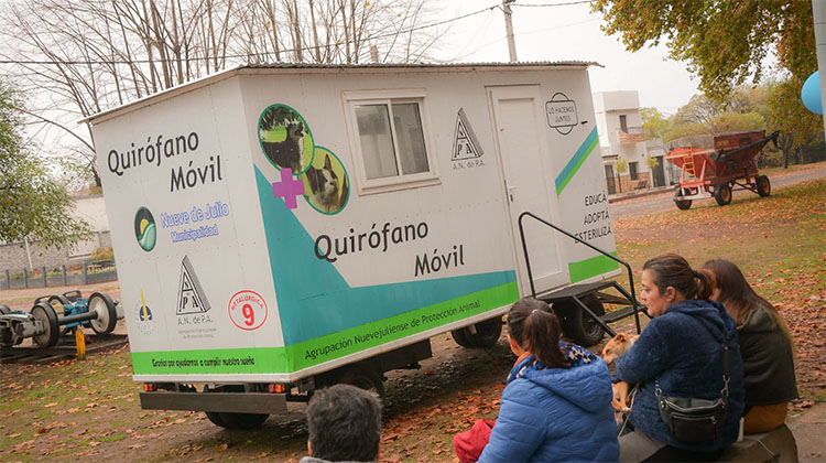 ​Castraciones de caninos y felinos