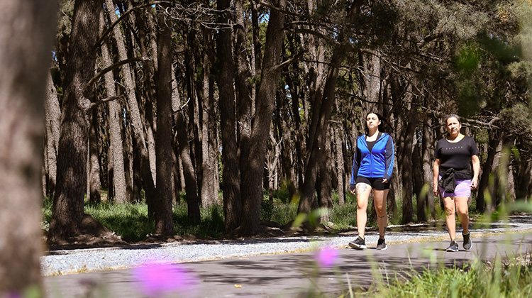 Se corre la "Carrera del Parque"
