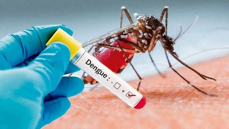 ​Dengue: Confirman cinco casos positivos en el distrito