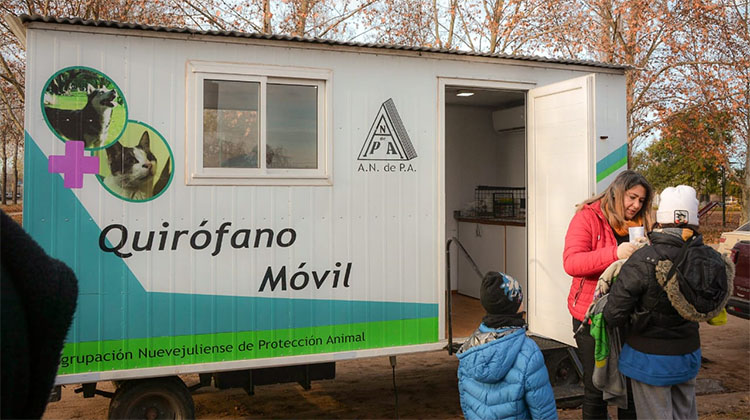 Castraciones gratuitas de caninos y felinos