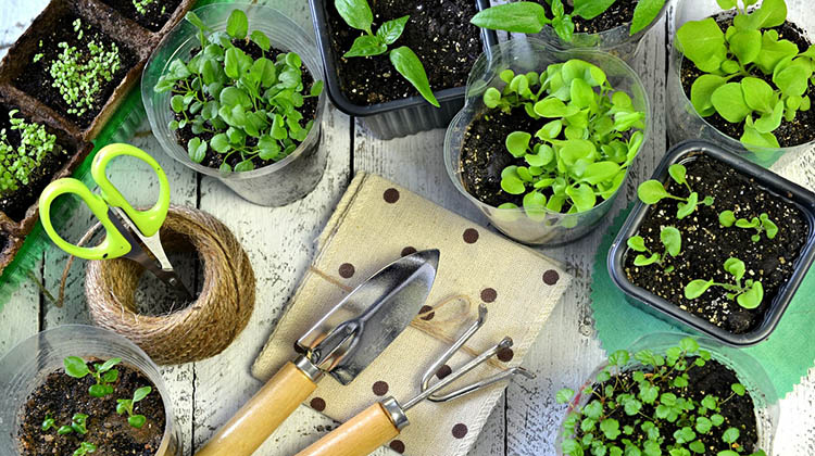 ​Taller de arom&aacute;ticas en Na&oacute;n