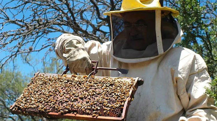 Jornada Ap&iacute;cola en Dudignac