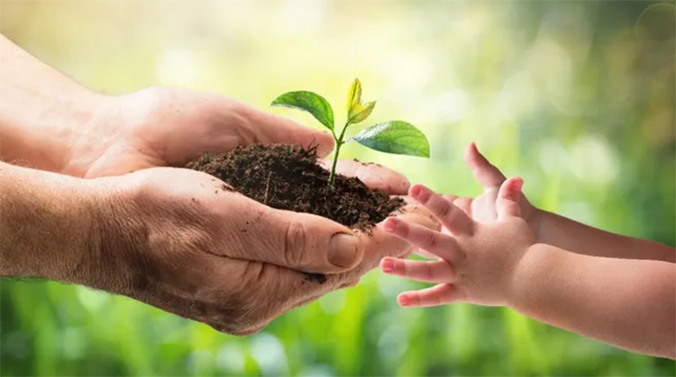 D&iacute;a Mundial del Medio Ambiente