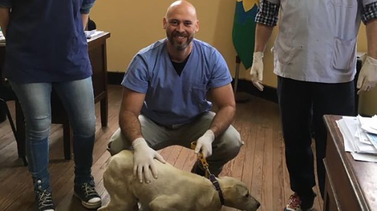 Castración de mascotas