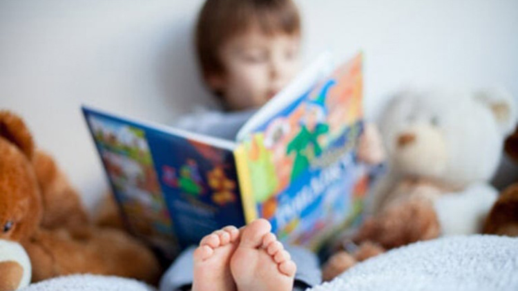 D&iacute;a Nacional del Libro