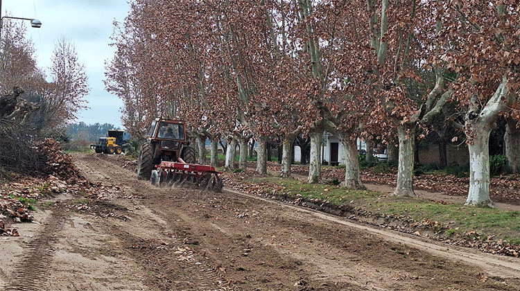 ​Reparaci&oacute;n de calles French