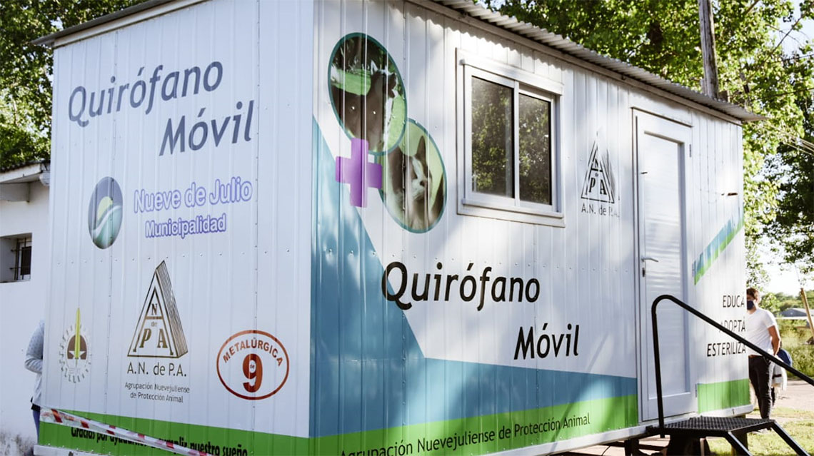 ​Castraciones de caninos y felinos