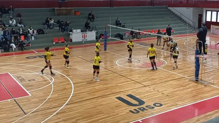 ​Torneo de V&oacute;ley local