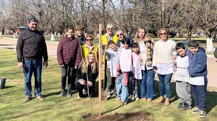 Actividades del Club de Leones por la Semana del Árbol