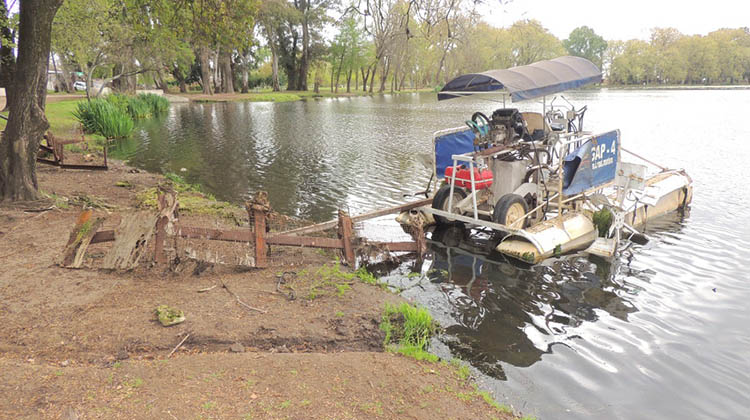 V&aacute;ndalos da&ntilde;aron cosechadora 
