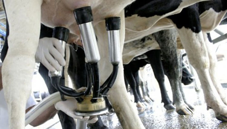 Optimismo en la cadena l&aacute;ctea