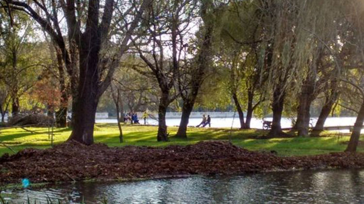 El Club Libertad realizar&aacute; un torneo de pesca para chicos