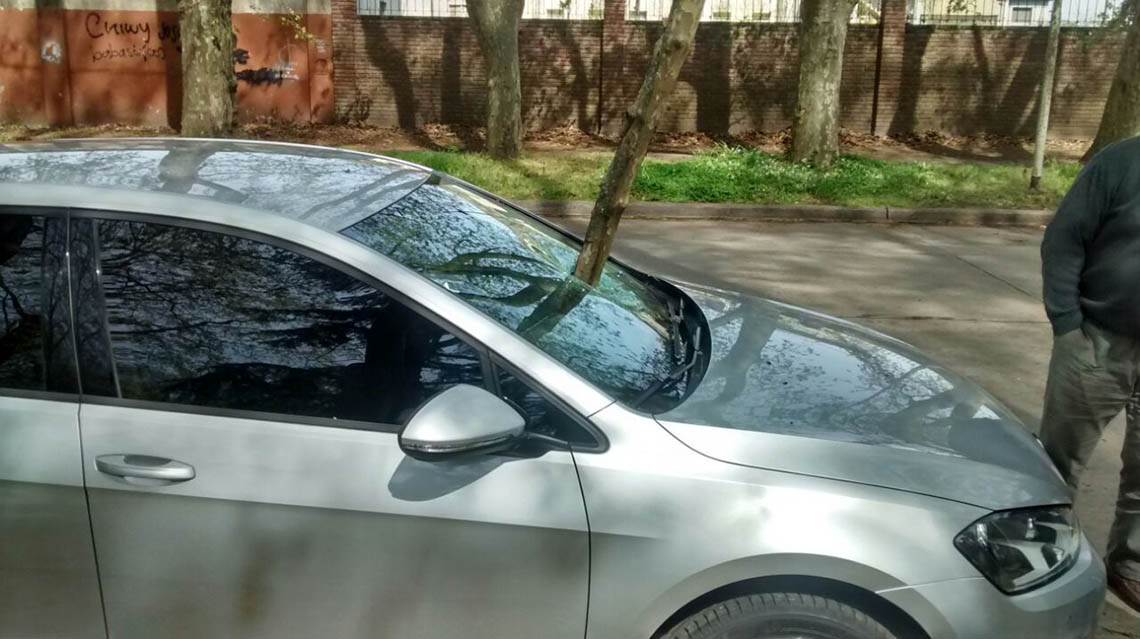 Auto da&ntilde;ado por una gran rama