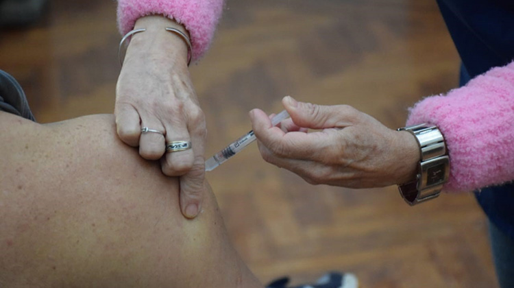 Vacunaci&oacute;n antigripal