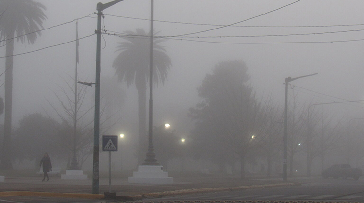 ​Consejos para manejar en &eacute;pocas de nieblas intensas