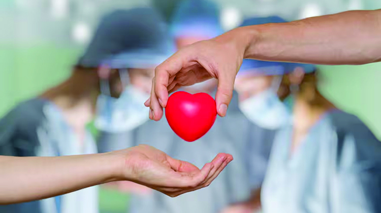 D&iacute;a Nacional de la Donaci&oacute;n de &Oacute;rganos y Tejidos