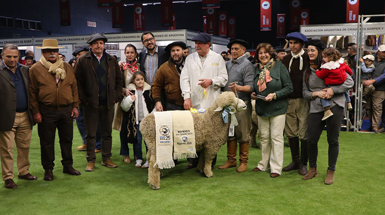 Destacada participaci&oacute;n de caba&ntilde;as nuevejulienses en la 137&ordm; Expo Rural de Palermo