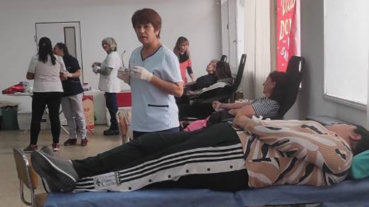 Nueva colecta de sangre con registro de m&eacute;dula &oacute;sea