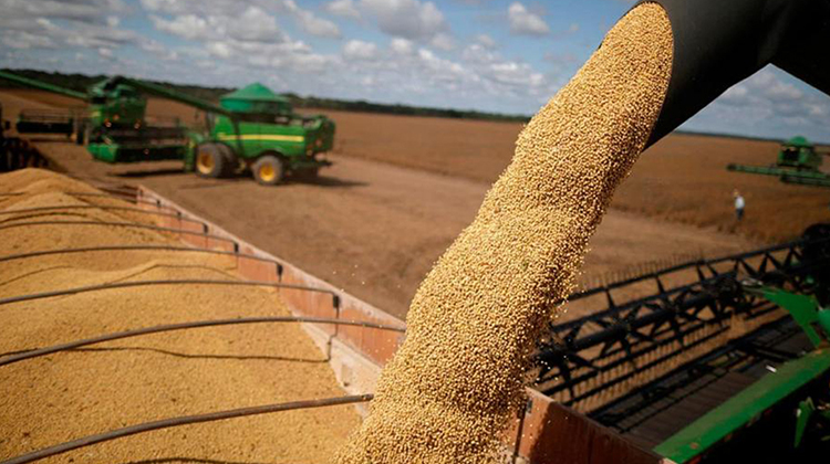 Retenciones cero: las 5 empresas que concentraron el 80% de las ventas