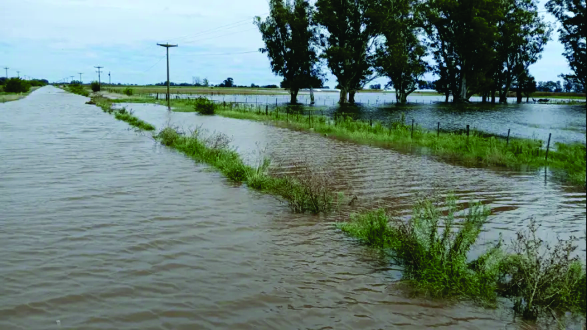 ​Prórroga de la Emergencia Agropecuaria