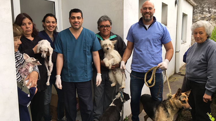 Castración de mascotas