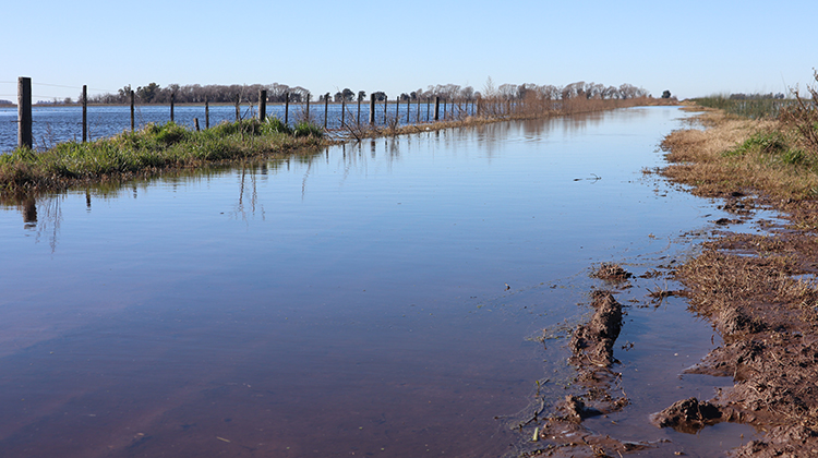 Prórroga de la Emergencia Agropecuaria