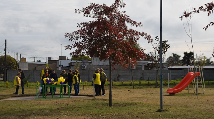 Los Leones contin&uacute;an sumando  actividades