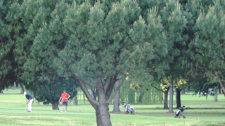 Actividad golf&iacute;stica en el Club Atl&eacute;tico