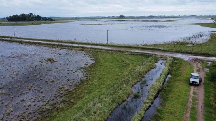 ​Emergencia Agropecuaria