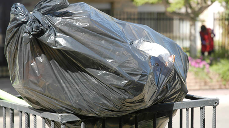 Domingo sin recolecci&oacute;n