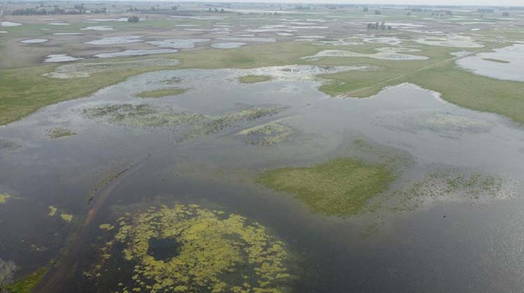 Naci&oacute;n refuerza la asistencia al campo con fondos no reintegrables