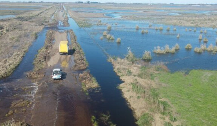 ​Pongamos el caballo delante del carro