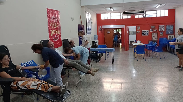 Primera colecta de sangre del a&ntilde;o