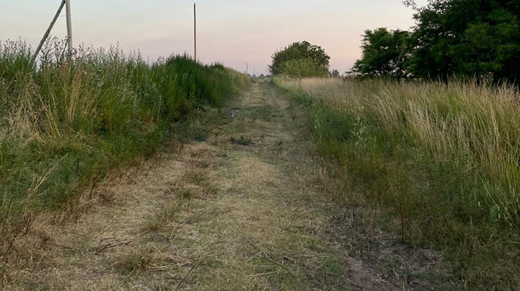Relevamiento de los caminos rurales de 9 de Julio