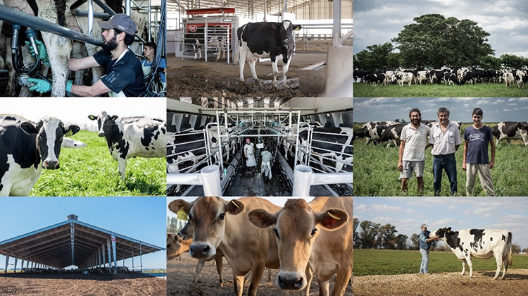 Mastellone Hnos conmemora el D&iacute;a del Tambero