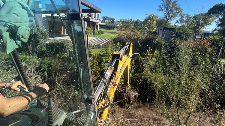 ​Tareas de limpieza en el canal de calle Mariano Moreno