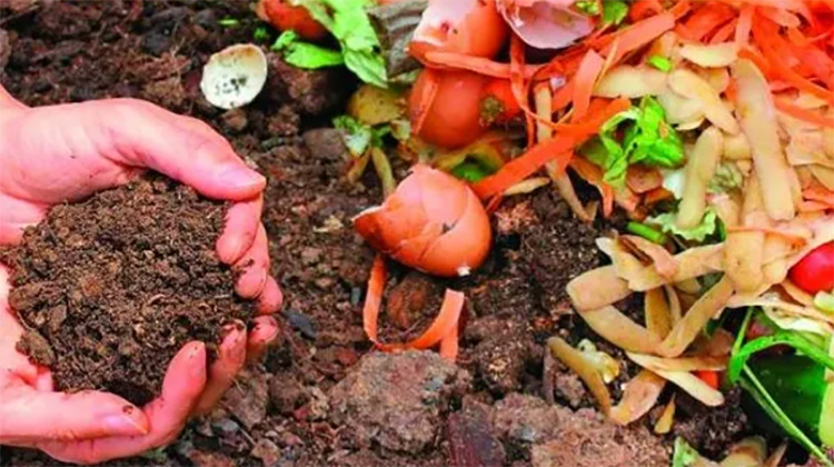 Invitan a un taller gratuito de compostaje y huerta en casa en 9 de Julio
