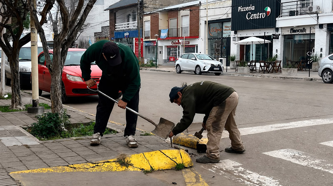 Reparaci&oacute;n de ochabas